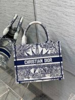 Dior 白色小號 Book Tote 手提包藍色 Rêve d’Infini 刺繡 LV官方網,LV官網,LV官網包包,LV官網台灣,LV官網長夾,LV官網皮夾,LV包包